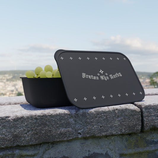 Bento Box Lunch Container